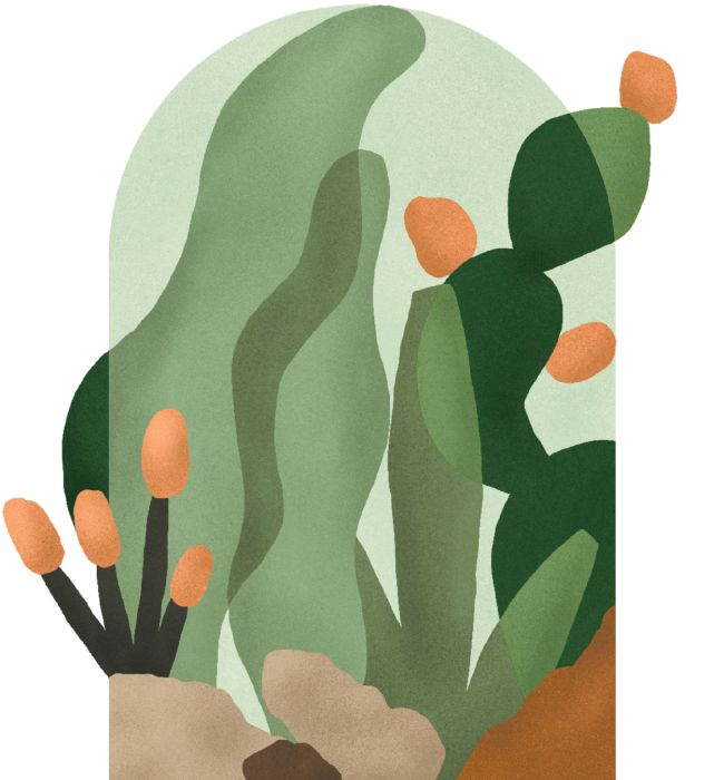 Illustration einer Wüstenlandschaft mit Kakteen